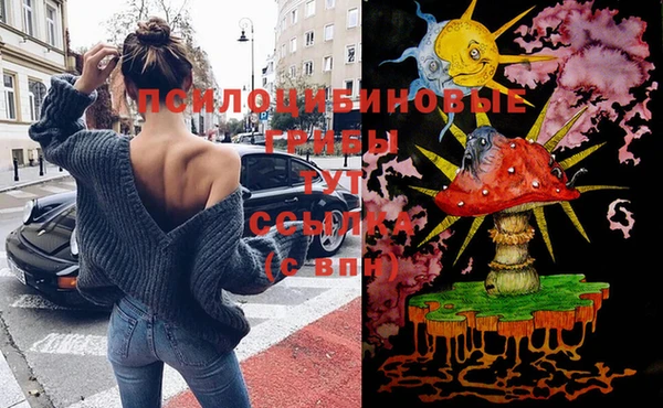 стафф Баксан